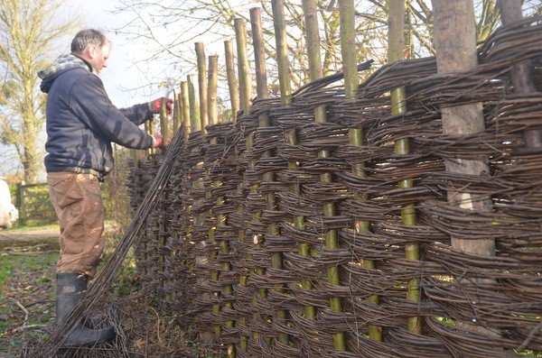 Willow Hurdle Fence